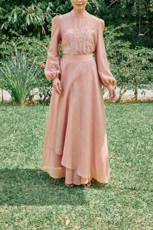 Asha Rose Brown Skirt