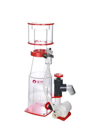 OCTO REGAL INT