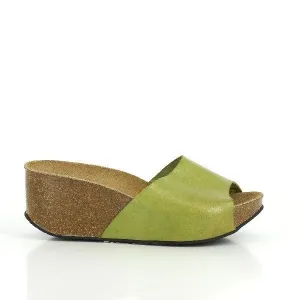 Plakton 273036 Pistachio Wedges